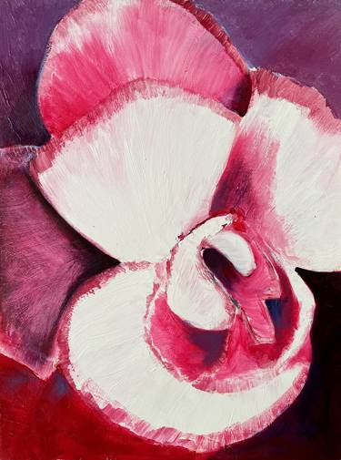 Original Abstract Floral Paintings by Stewart Fletcher