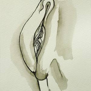 Collection The Female Parts Project: Erotic Drawings by Stewart Fletcher
