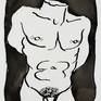 Collection The Male Parts Project: Erotic Drawings by Stewart Fletcher