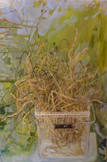 Original Fine Art Botanic Paintings by Deirdre Burke