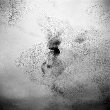 Original Abstract Animal Photography by Paolo Patrizi