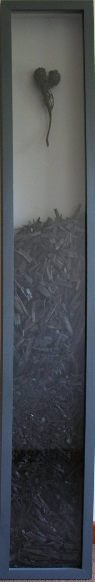 Terra de Fume 2007, charcoaled wood, 194 x 32 (including frame) thumb
