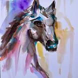Horse portrait by Konrad Biro