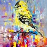 Collection Birds