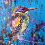 Collection Birds