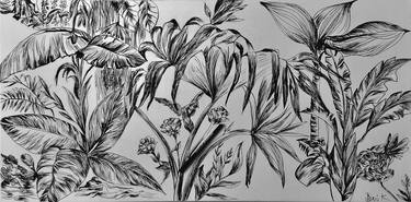 Print of Botanic Drawings by Konrad Biro