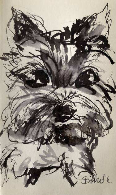 Print of Dogs Drawings by Konrad Biro