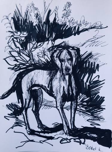 Print of Dogs Drawings by Konrad Biro