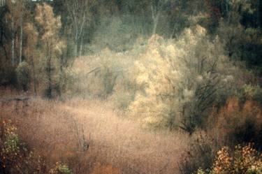 Original Impressionism Landscape Photography by Ebby May