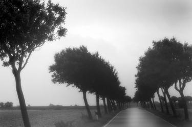 Print of Folk Landscape Photography by Ebby May