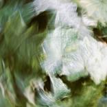 Abstraction613 by Ebby   May