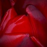 Abstraction 657 by Ebby   May