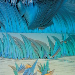 Collection One of a Kind Affordable Originals