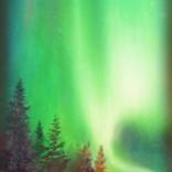 Northern Lights Green by Veronica Gudmundson