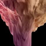 Column Descent by Javier Ideami