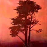 The Gathering by John O'Grady