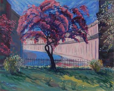 Original Tree Paintings by Stephen Howard Harrison