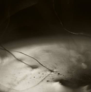 Original Abstract Photography by Andres Rodriguez