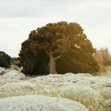 Collection Landscape Photography Inspired by Ansel Adams