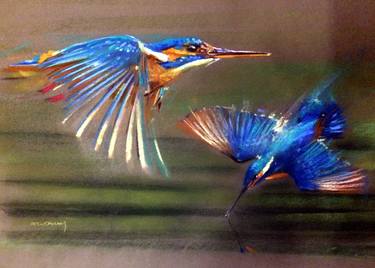 Kingfishers thumb