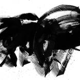 Collection Black Extasy