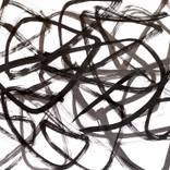 Collection Writing Exercises