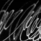 Collection Writing Exercises