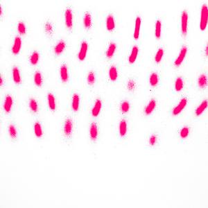 Collection Pinks