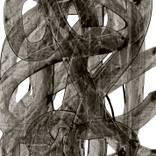 Collection Blacks on paper