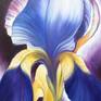 Collection Irises