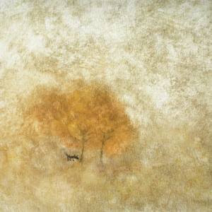 Andrew Berardini (arts writer)