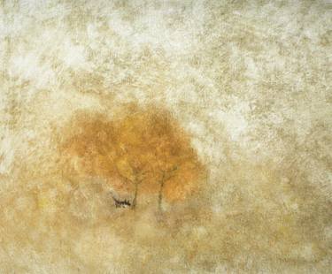 Print of Minimalism Tree Paintings by Paulina Krajewska