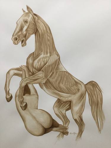 Original Horse Drawing by Celine Excoffon