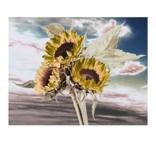 SUNFLOWERS by Derek Seaward