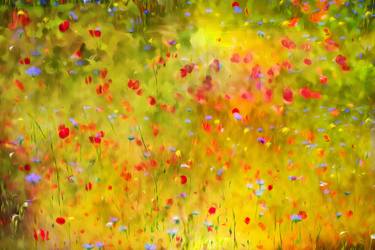 Original Impressionism Floral Photography by Mary Mansey
