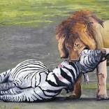 Wild by Ahmed Kheder