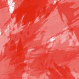 RED HOT CHILI PRINT by Chrisb Marquez
