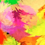 TROPICALIA by Chrisb Marquez