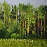 Past the clearing by Liam Symes