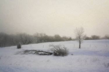 Kansas: Fallen Tree Covered In Snow thumb