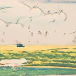 Clouds Building Over A Harvest Afternoon by Kaley Rhodes