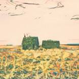Farming The Homestead by Kaley Rhodes