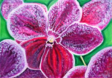 Purple Orchid Bloom floral art thumb