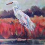 Crane by Virginia Chapuis