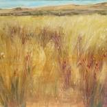 Grasslands at Trevelin by Virginia Chapuis