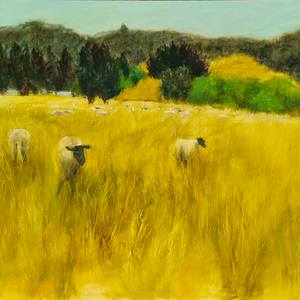 Grazing