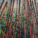 Copy of She Stood with the Trees by tamara gonda