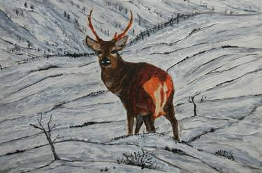 Original Expressionism Animal Paintings by George Hunter