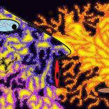 Collection Digital Art