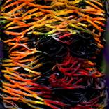 Collection Sculpture